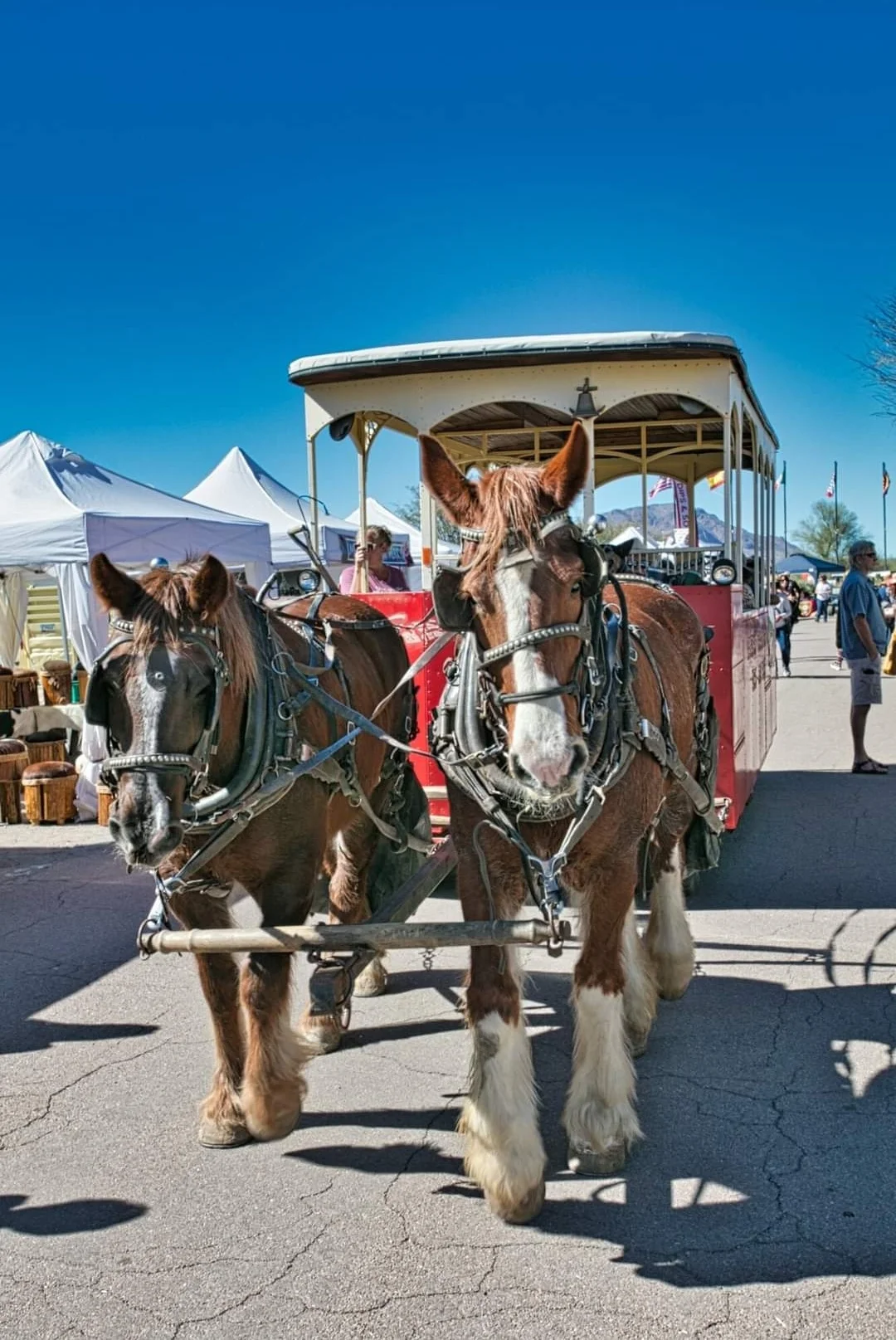 Tubac Festival of the Arts photo 1 in Tubac, Arizona